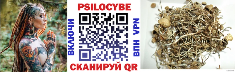 Псилоцибиновые грибы Cubensis  Купить где  Нижний Новгород 